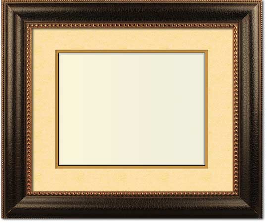 Matisse Traditional Custom Picture Frame